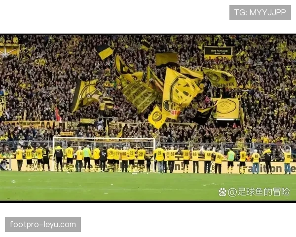 阿德耶米闪耀多特蒙德,关键表现助力球队取得重要胜利 阿德耶米闪耀多特蒙德,关键表现助力球队取得重要胜利