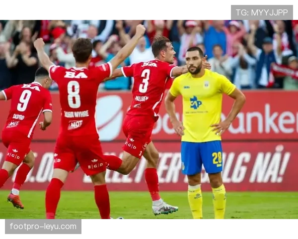 葡超球迷文化点燃激情赛季：团结与忠诚铸就绿茵狂热