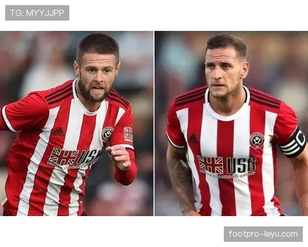 谢联稳扎稳打力保英超席位，顽强斗志迎战强敌