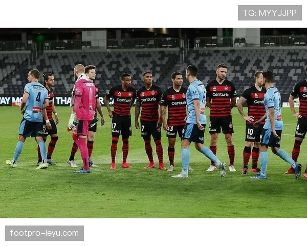 霍伊别尔助莱斯特城状态回暖，近期表现稳健